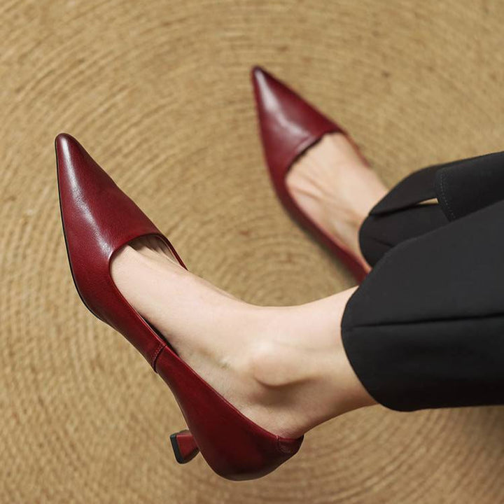 Darcy Creek Elegant Pumps by Steppina